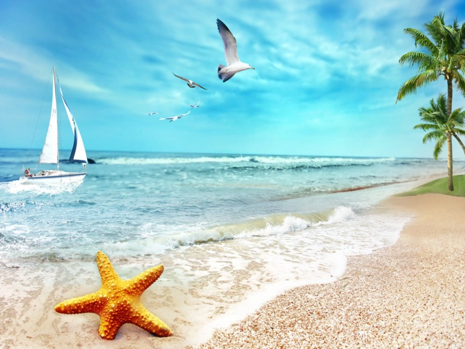 《我们相会在海滩上》课件_第3页