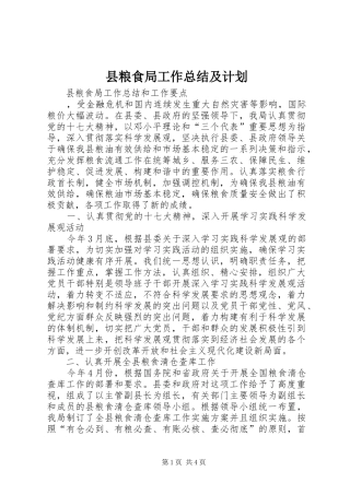 县粮食局工作总结及计划 