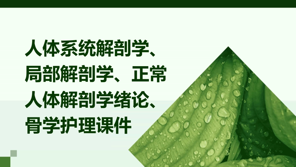 人体系统解剖学局部解剖学 正常人体解剖学绪论骨学护理课件_第1页
