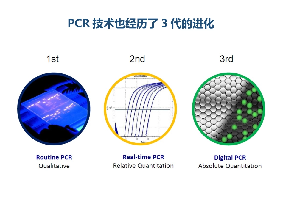 新分子检测技术在肺癌精准治疗中的应用NGS vs ddPCR_第3页
