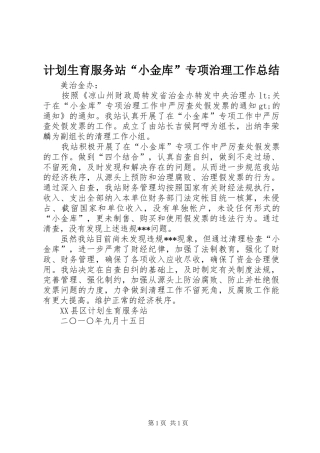 计划生育服务站“小金库”专项治理工作总结 