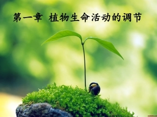 植物生命活动的调节(浙科版)1