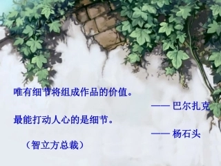 细节描写演示文稿(宗小慧)