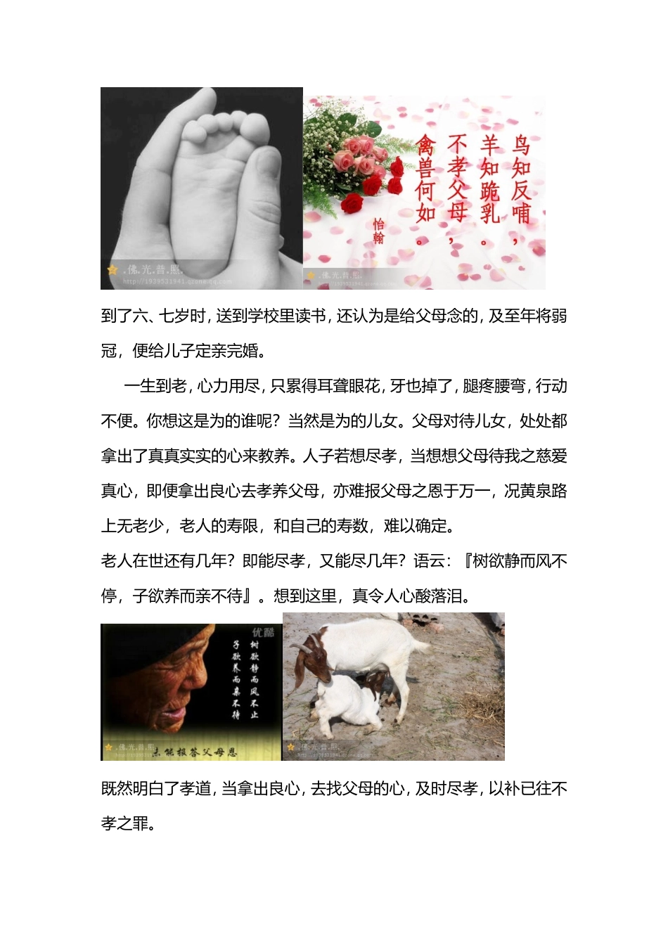 看到这段话你就会及时行孝_第2页