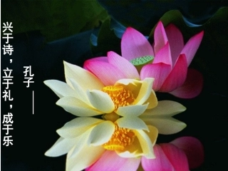 上去高山望平川(河湟花儿)