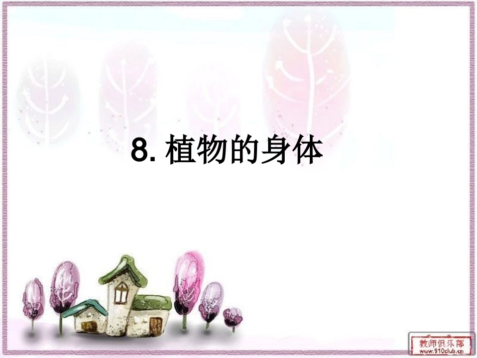 植物的身体课件_第1页