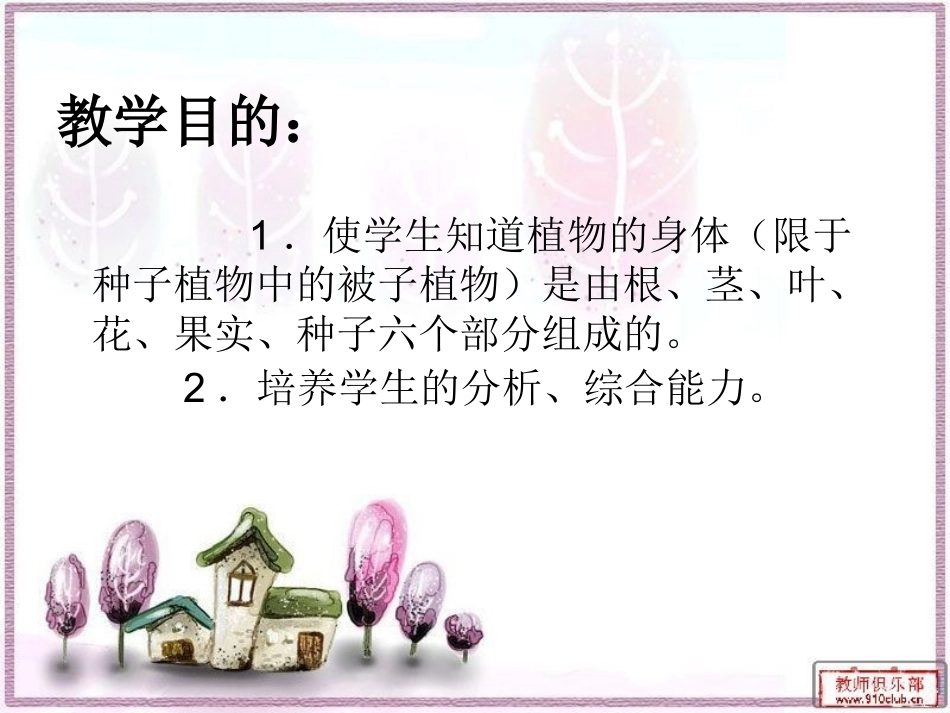 植物的身体课件_第2页
