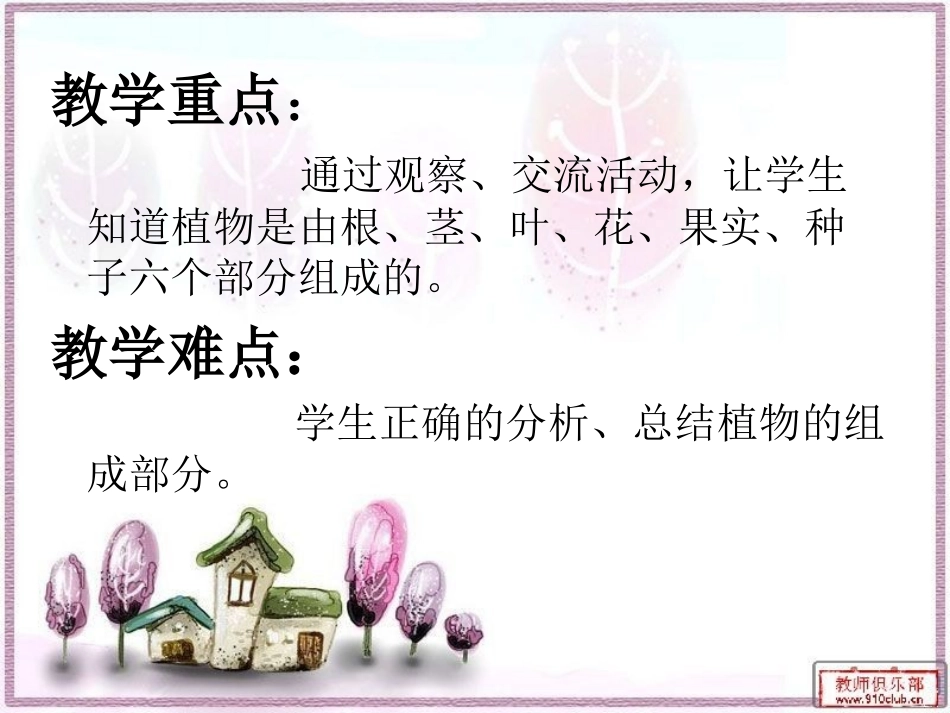 植物的身体课件_第3页