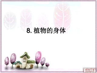植物的身体课件