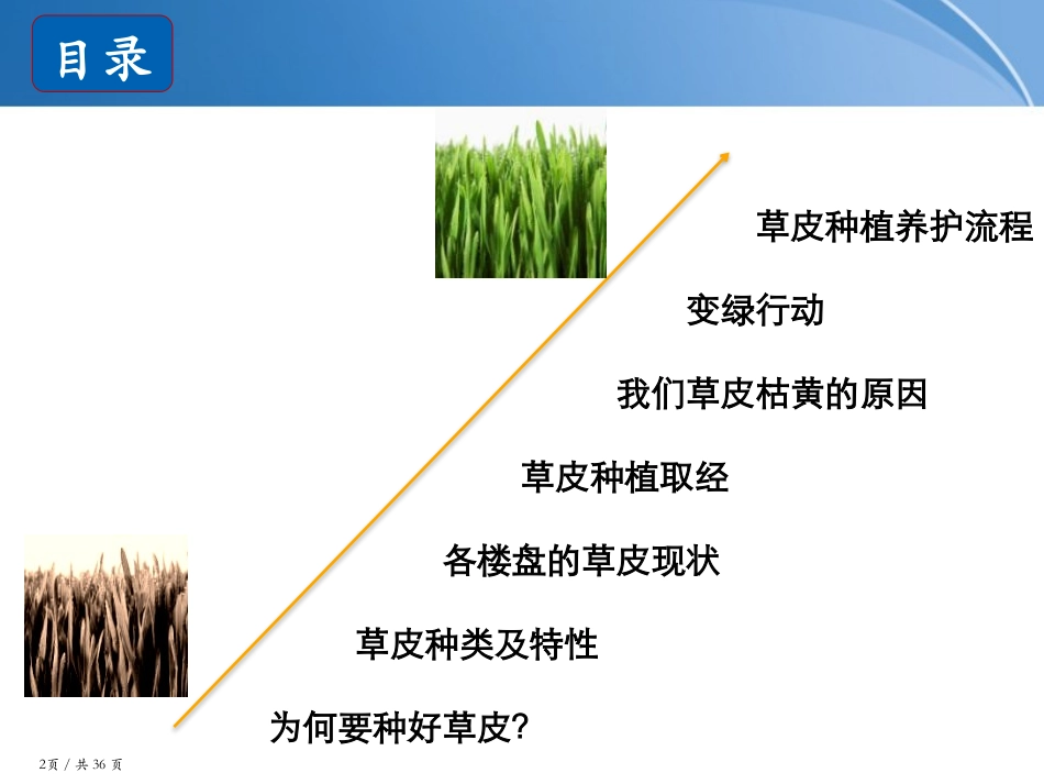 景观草皮种植总结_第2页