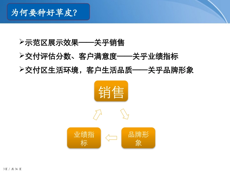 景观草皮种植总结_第3页