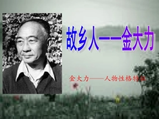 故乡人———金大力