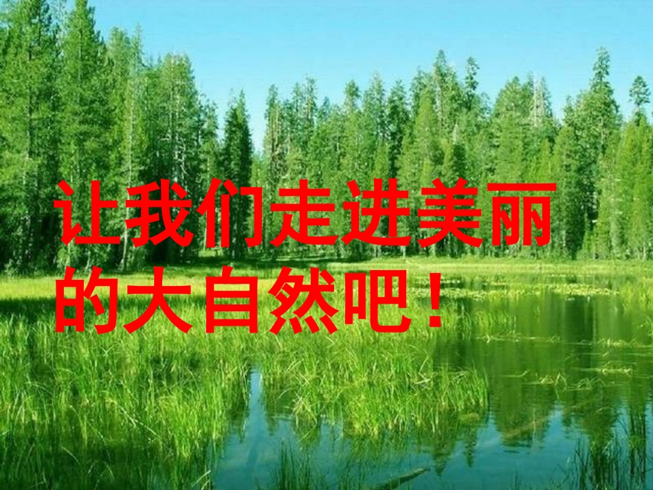 敬畏自然 (2)_第1页