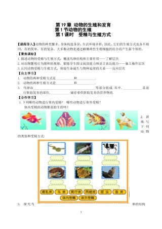19.1动物的生殖和发育1