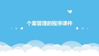 个案管理的程序课件