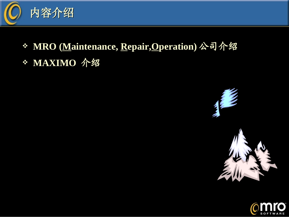 企业资产管理(EAM)解决方案_第2页