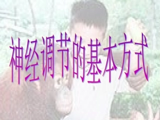 神经调节的方式