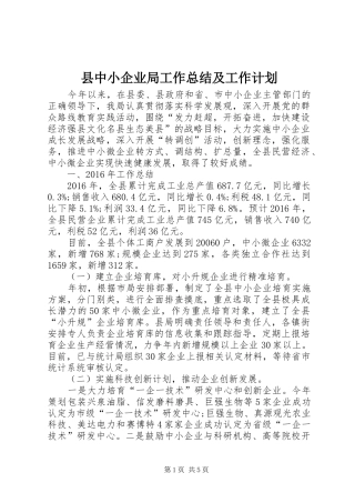 县中小企业局工作总结及工作计划 