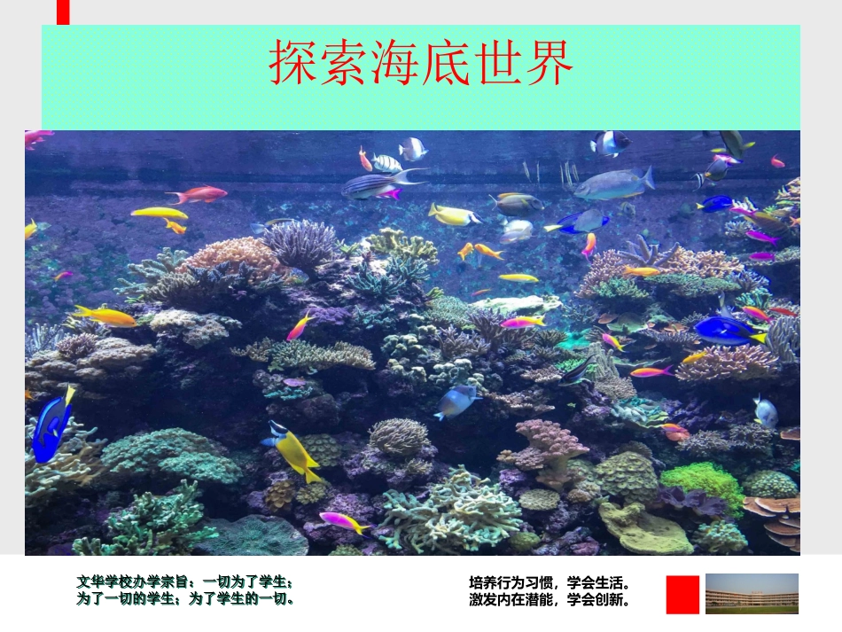 23海底世界_第3页