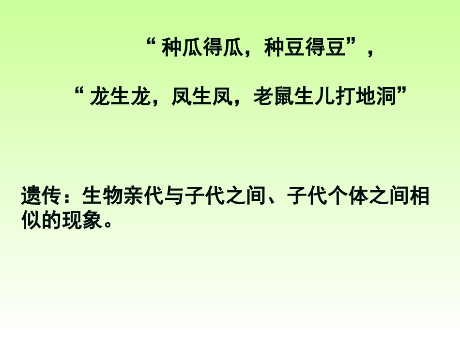 孟德尔的豌豆杂交实验(一)(上课用)_第1页
