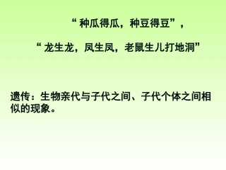 孟德尔的豌豆杂交实验(一)(上课用)