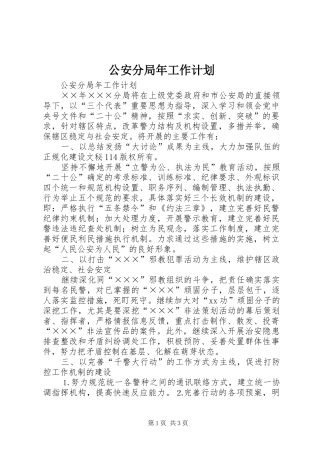 公安分局年工作计划 