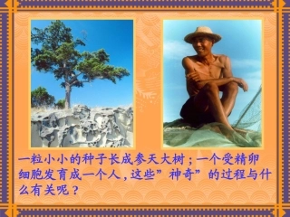 细胞的分裂和分化