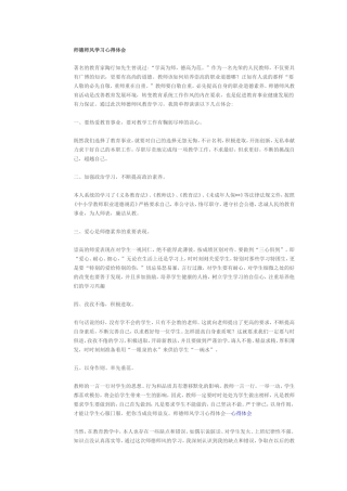 师德师风学习心得体会-(4)