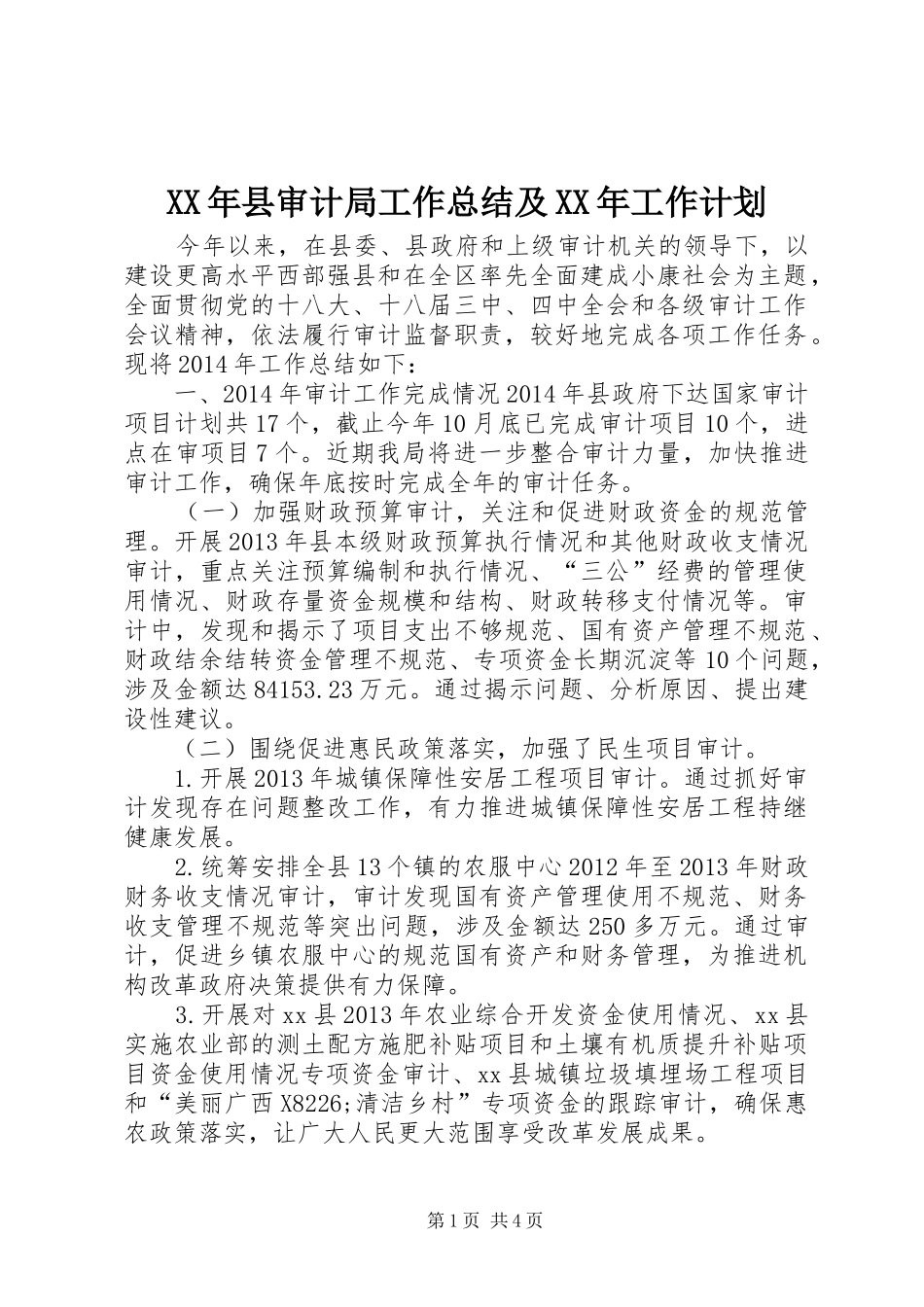 XX年县审计局工作总结及XX年工作计划 _第1页