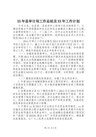 XX年县审计局工作总结及XX年工作计划 