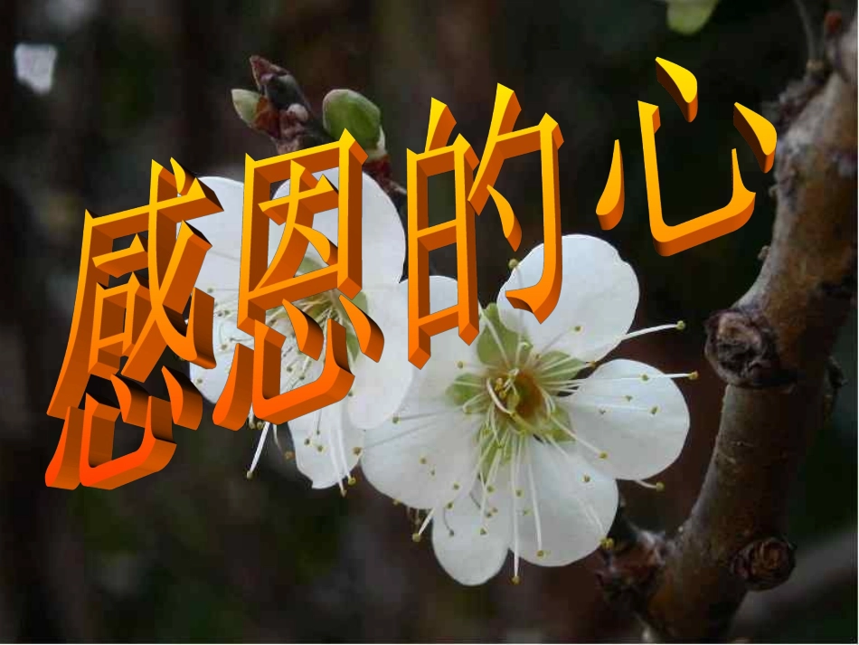 感恩父母主题班_第2页