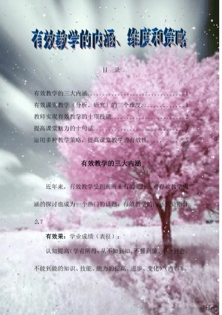 有效教学的内涵、维度和策略-(2)