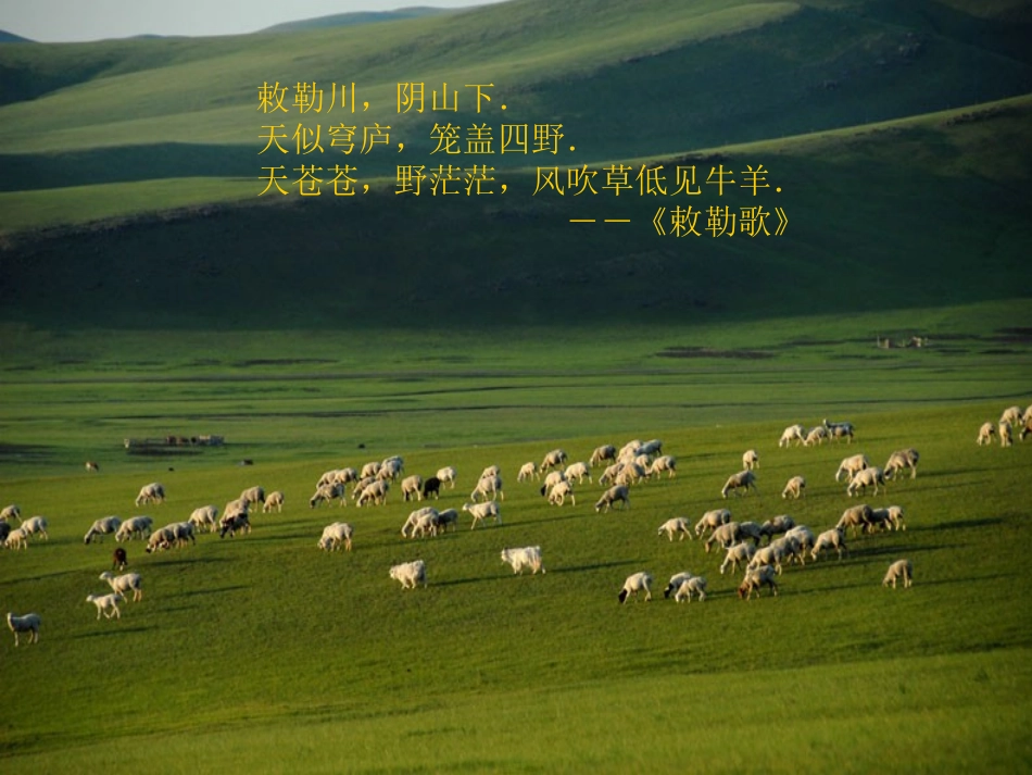 草原PPT (2)_第2页