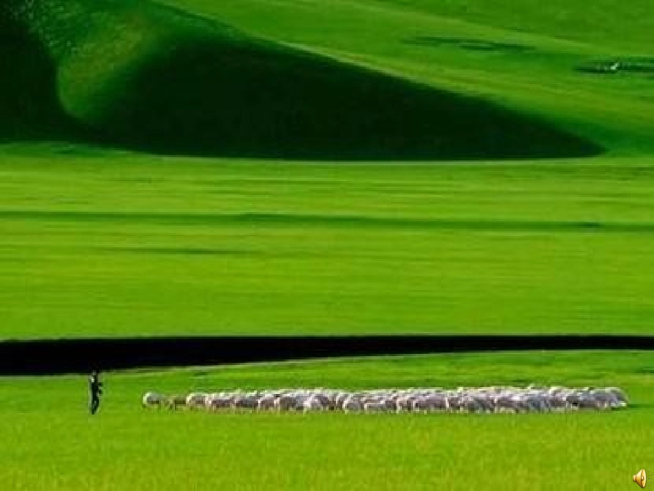 草原PPT (2)_第3页