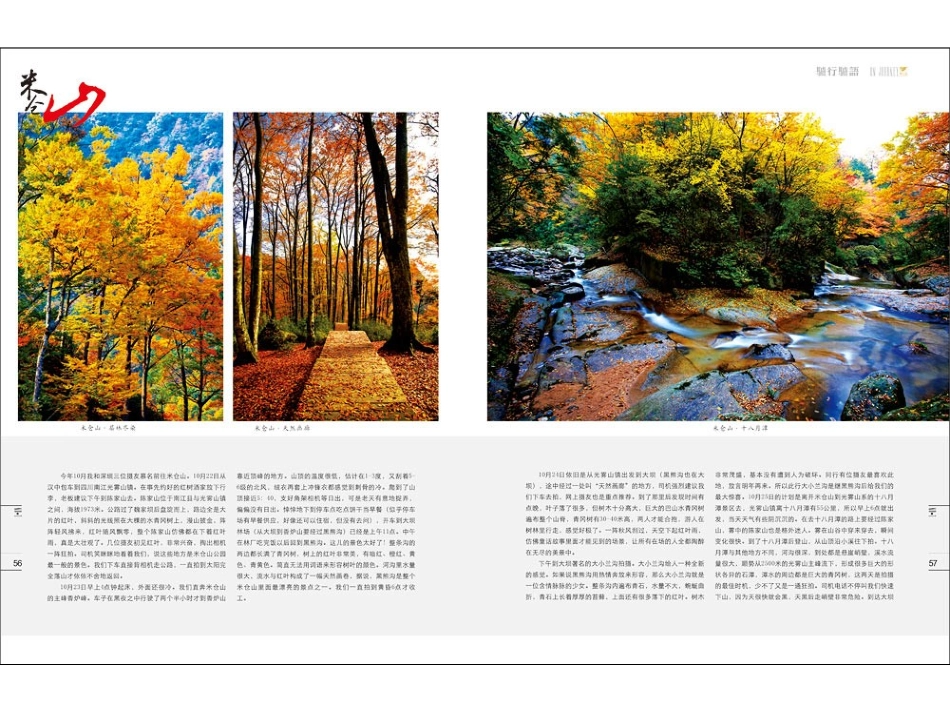 金秋时节的四川米仓山国家森林公园_第3页