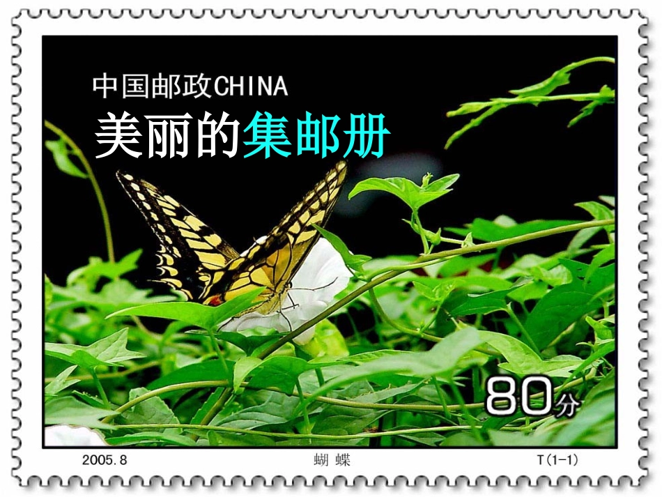 美丽的集邮册课件_第2页