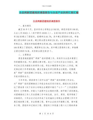 全县两新团建现状调查报告与全县产业扶持汇报汇编