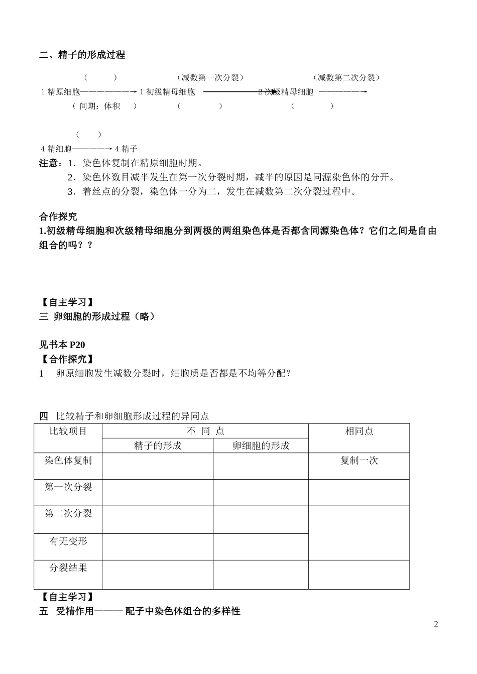 21减数分裂和受精作用_第2页