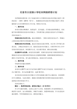 大垸镇小学校本网络研修计划