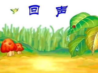 二上31回声