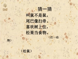 《跑进家来的松鼠》公开课PPT