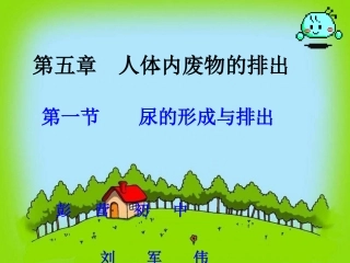 七年级生物尿的形成和排出2