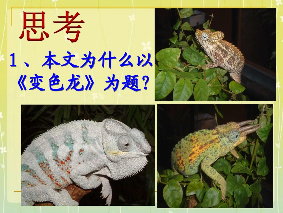 《变色龙》问题思考_第1页