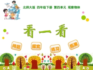 19-看一看