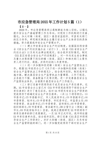 市应急管理局20XX年工作计划5篇（1） 