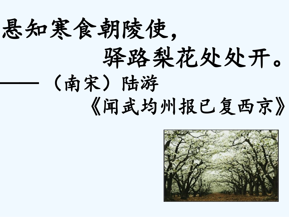 (部编)初中语文人教2011课标版七年级下册《驿路梨花》课件-(5)_第3页