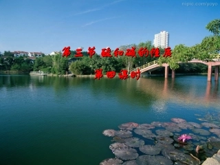 第三节：酸和碱的性质(共21张PPT)