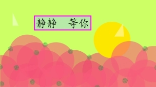 慢德育PPT