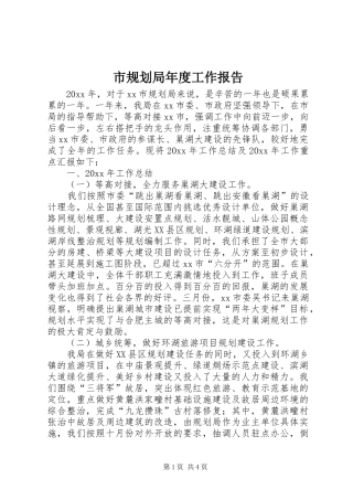 市规划局年度工作报告 