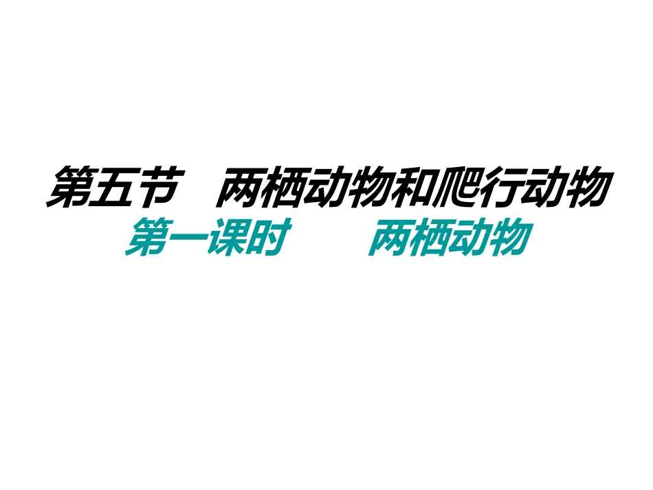 515两栖动物和爬行动物_第2页